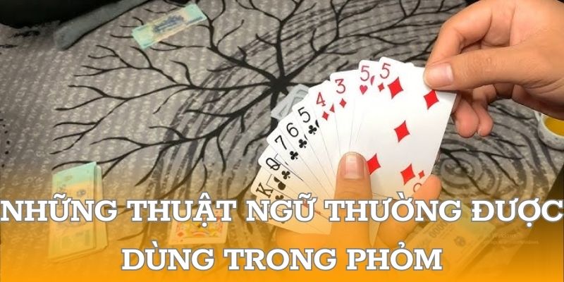 Những thuật ngữ thường được dùng trong phỏm