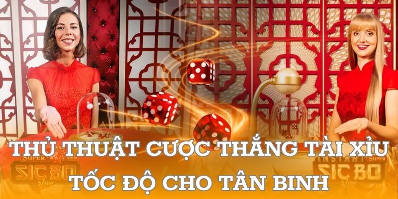 Thủ thuật cược thắng tài xỉu tốc độ cho tân binh